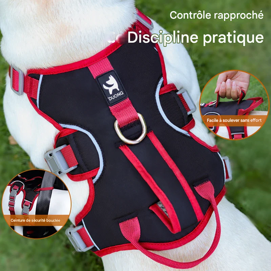 HARNAIS Kaliko AJUSTABLE POUR CHIEN