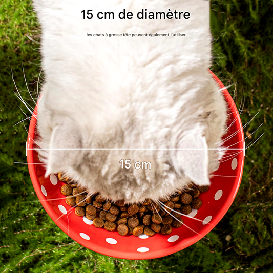 Le ChampiCat - Bol pour chat